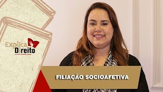 Explica Direito Filiação Socioafetiva  2019 [upl. by Annasoh]